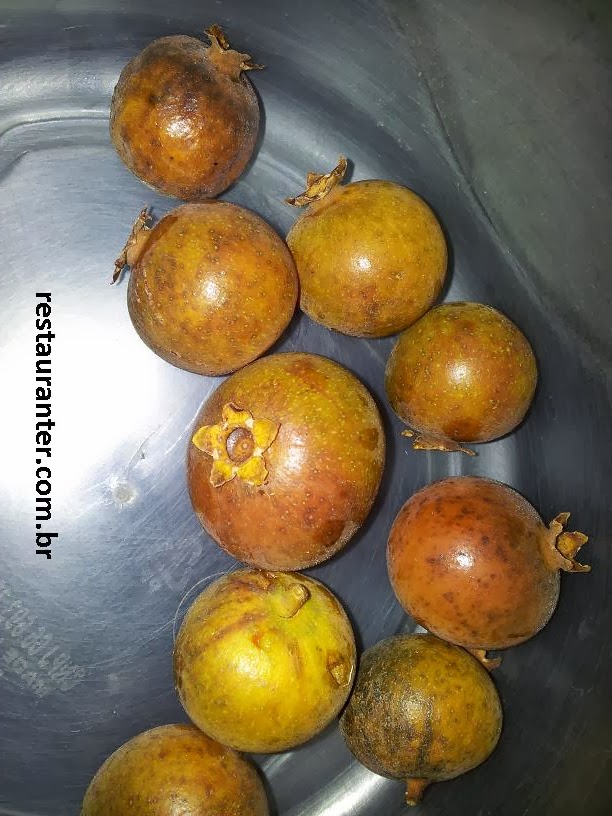 معرفی و راهنمای پرورش درختان میوه - پوکا